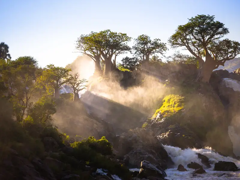 Sonnenaufgang über einem Wasserfall mit Baobab Bäumen im Vordergrund.