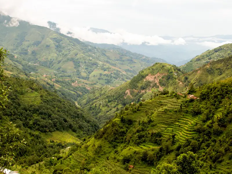 Hügelige Landschaft mit terrassierten Reisfeldern.