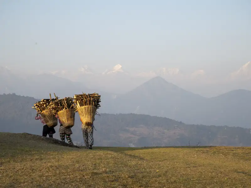 Drei Personen tragen Körbe mit Holz in einer Berglandschaft.