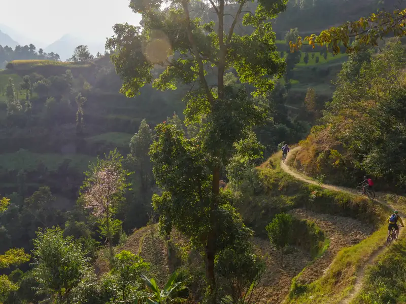 Mountainbiker auf einem Bergpfad.