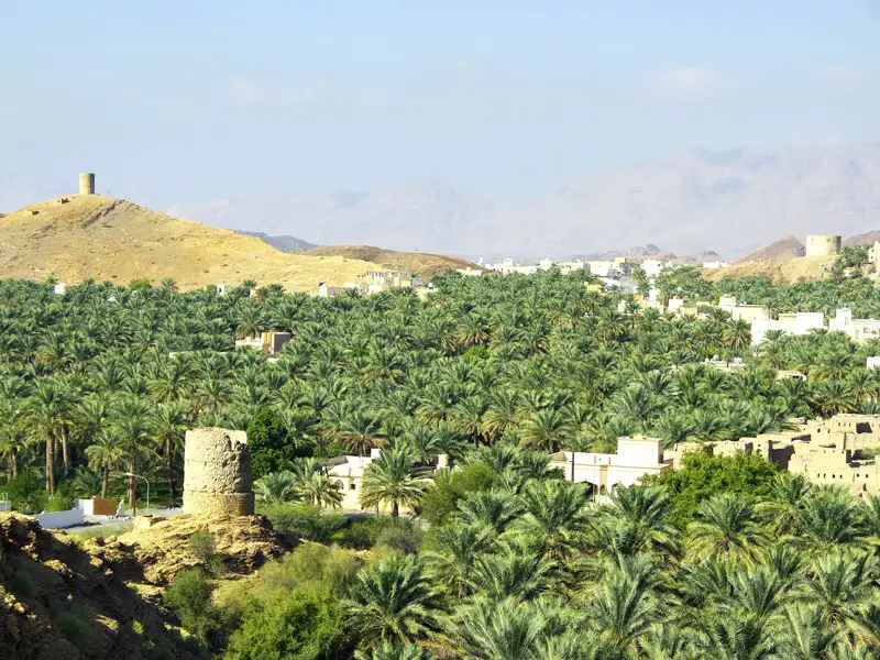 Dattelpalmenhain mit traditionellen Türmen in einer Oase.