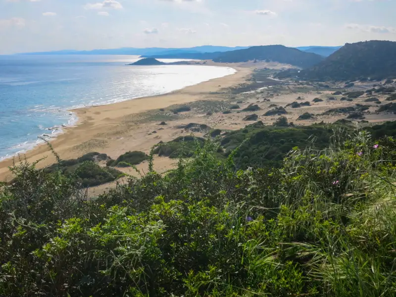 Panoramablick auf den Sandstrand und die Dünenlandschaft an der Küste.