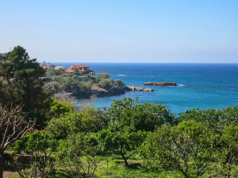 Blick vom Obstgarten auf das Meer und die felsige Küste mit einem Haus im Hintergrund.