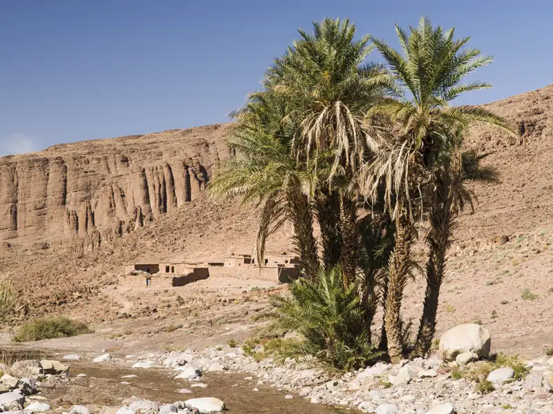 Traditionelles Wüstendorf mit Dattelpalmen und einem Flussbett.