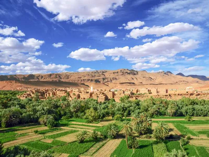 Traditionelles Wüstendorf in einer grünen Oase.