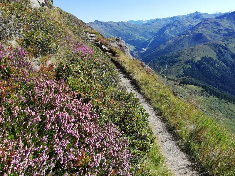 Alpengasthof-Loas mit Bergpanorama.
