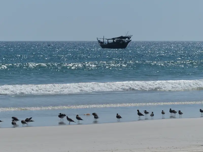 Traditionelles Boot auf dem Meer und Vögel am Strand.