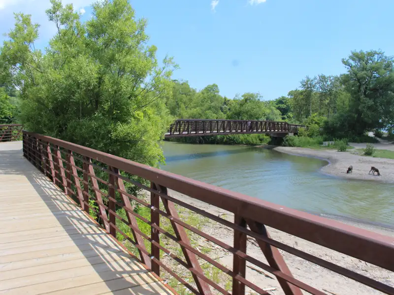Holzbrücke mit Blick auf eine Flussbrücke und Tiere am Ufer.