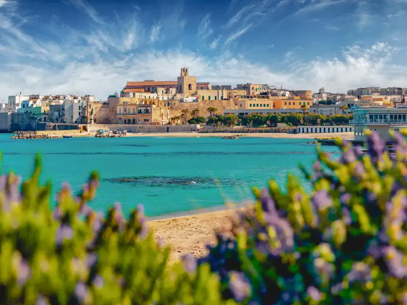 Blick auf die Altstadt einer Küstenstadt am Meer mit türkisfarbenem Wasser und blühenden Sträuchern im Vordergrund.