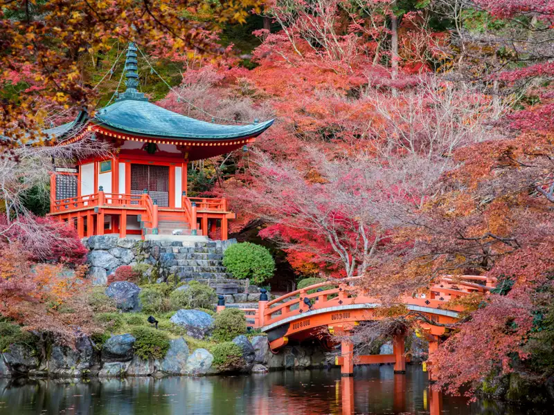 Traditioneller japanischer Tempel und rote Brücke inmitten leuchtender Herbstbäume.
