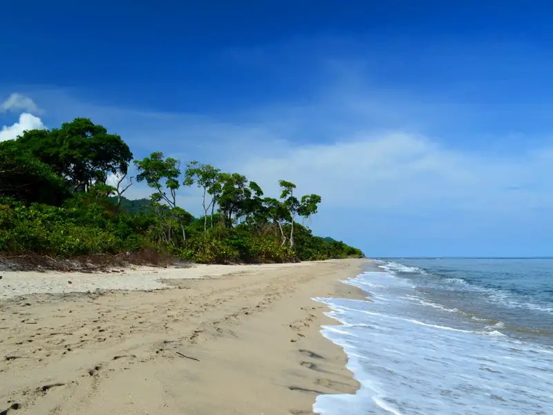 Sandstrand mit tropischer Vegetation und blauem Himmel.
