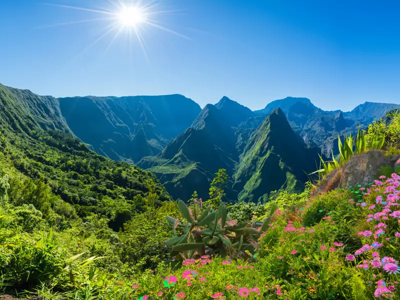 Grüne Berglandschaft mit blühenden Pflanzen.