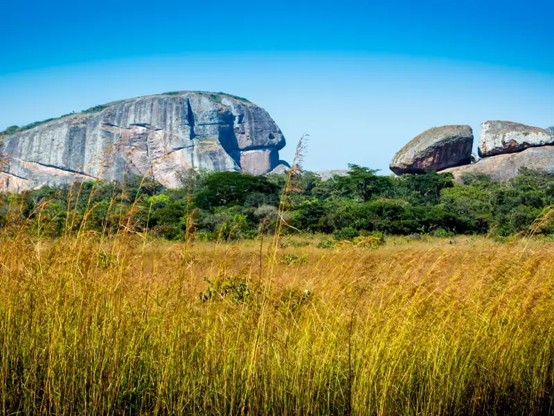 Sichtbare Felsformationen inmitten einer Graslandschaft.