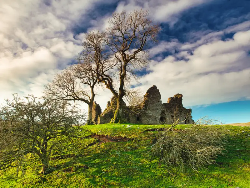 Historische Burgruine inmitten einer grünen Landschaft.