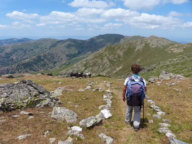 Wanderer auf einem Bergpfad. Im Hintergrund eine bergige Landschaft.