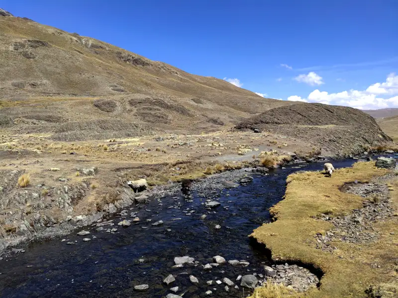 Berglandschaft mit Fluss und grasenden Schafen.