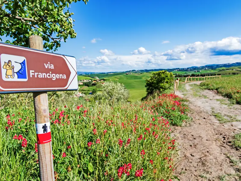 Wegweiser und Pfad der Via Francigena in der Toskana, umgeben von blühenden Blumen und grüner Landschaft.