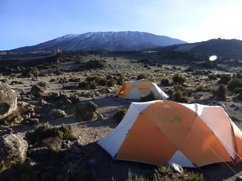 Zelte im Basislager für die Kilimandscharo-Besteigung, mit dem schneebedeckten Gipfel im Hintergrund.