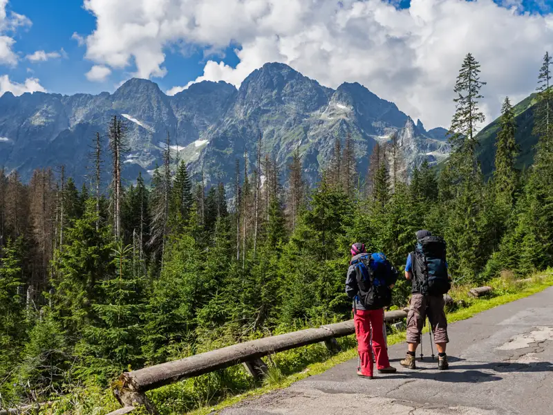 Zwei Wanderer mit Rucksäcken bewundern die Berglandschaft während ihrer Wanderung.