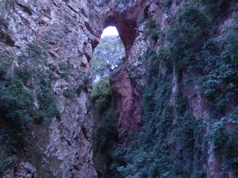 Natürlicher Felsbogen in einer Schlucht, bewachsen mit Vegetation.