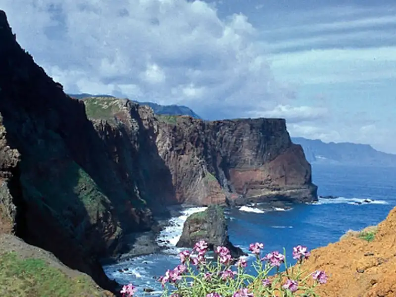 Steile Klippen fallen zum Meer hin ab, im Vordergrund blühen Pflanzen.