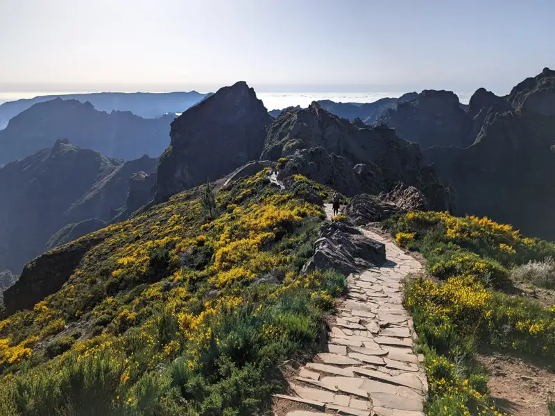 Gepflasterter Wanderweg in den Bergen mit gelben Blumen.