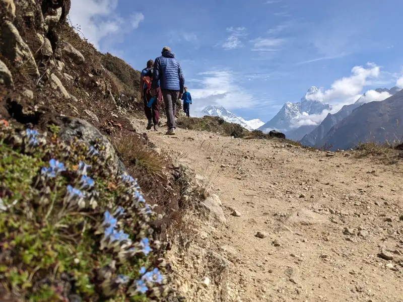 Wanderer auf einem Bergpfad in Richtung schneebedeckter Gipfel.