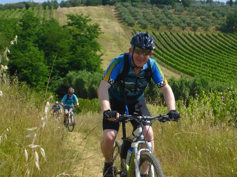 Mountainbiker auf einem Weg inmitten von Weinbergen.