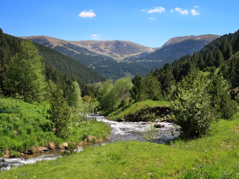 Idyllischer Gebirgsbach inmitten einer grünen Berglandschaft.