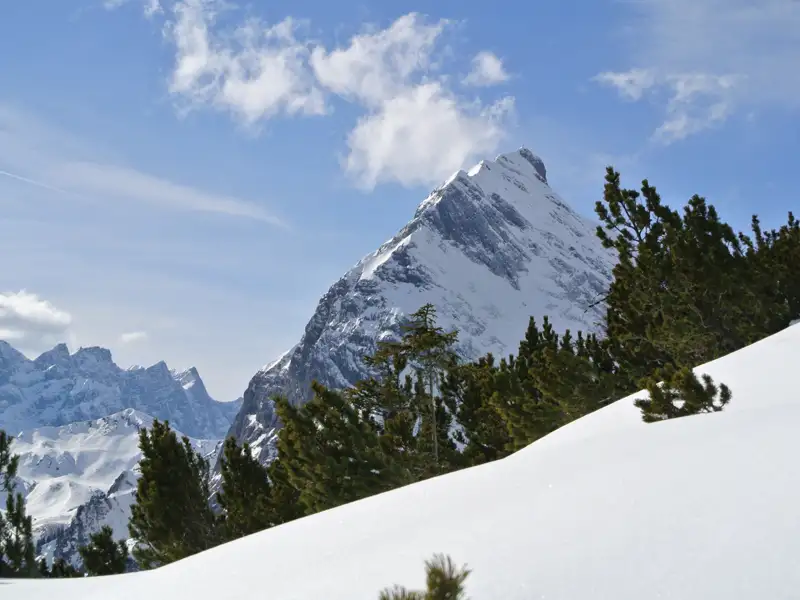 Schneebedeckter Berggipfel mit Bäumen im Vordergrund und weiteren Bergen im Hintergrund.