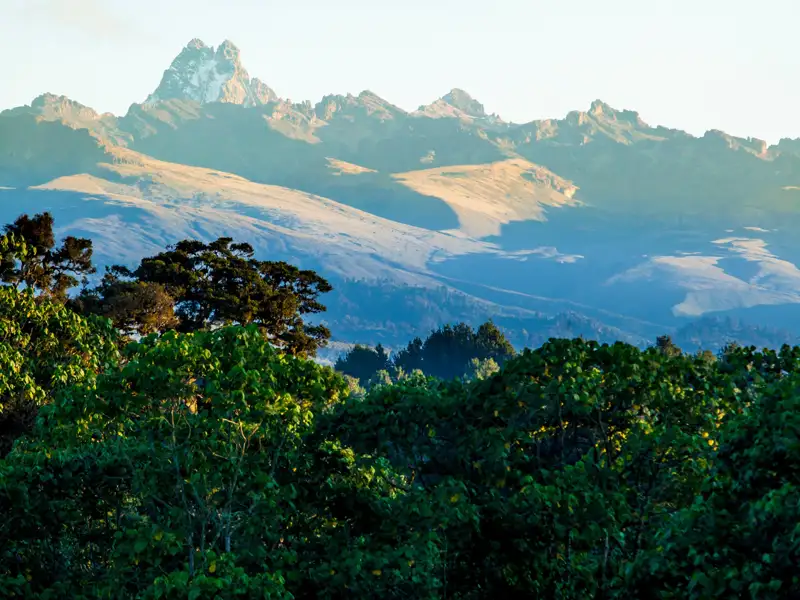 Panoramablick auf den Mount Kenya mit Bäumen im Vordergrund.
