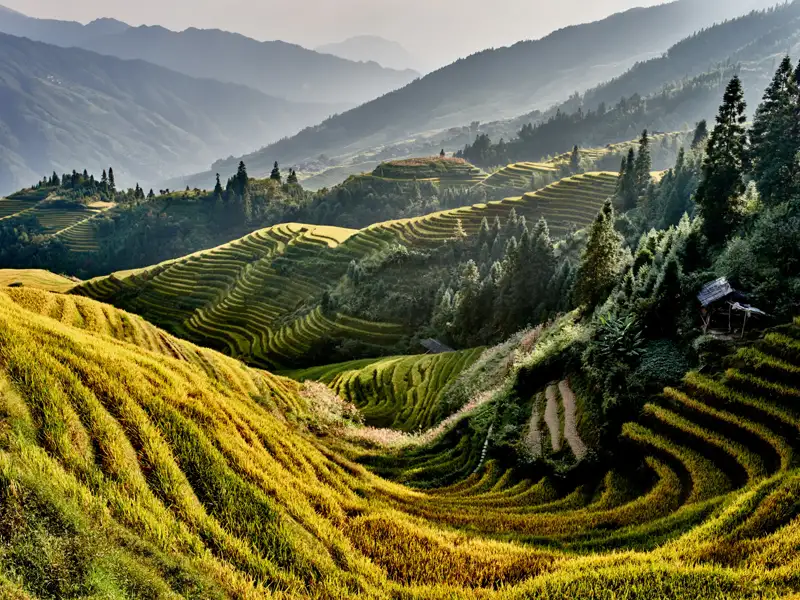 Reisterrassenlandschaft