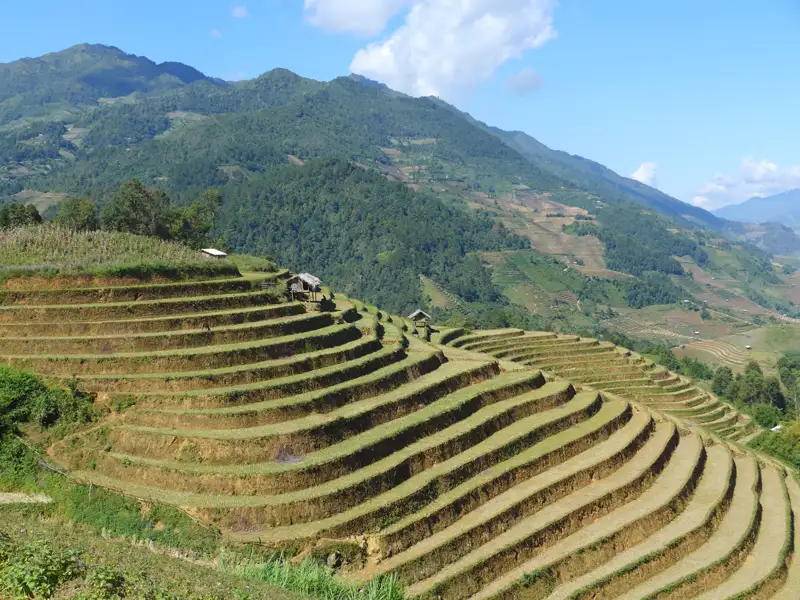 Terrassenförmig angelegte Reisfelder in einer Bergregion.