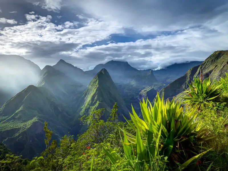 Panoramablick auf grüne Bergkette.