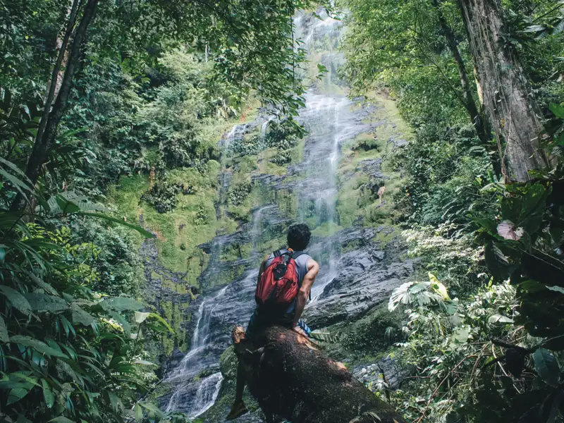 Reisender pausiert auf einem Baumstamm und betrachtet einen Wasserfall im Dschungel.
