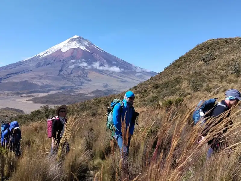 Wandergruppe auf einer Trekkingtour, mit Blick auf einen schneebedeckten Vulkan im Hintergrund.