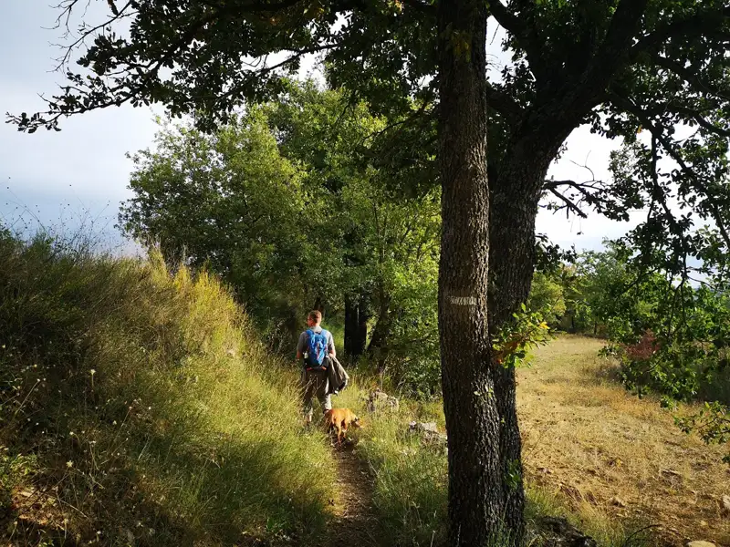 Person mit Rucksack wandert mit Hund auf einem schmalen Pfad.