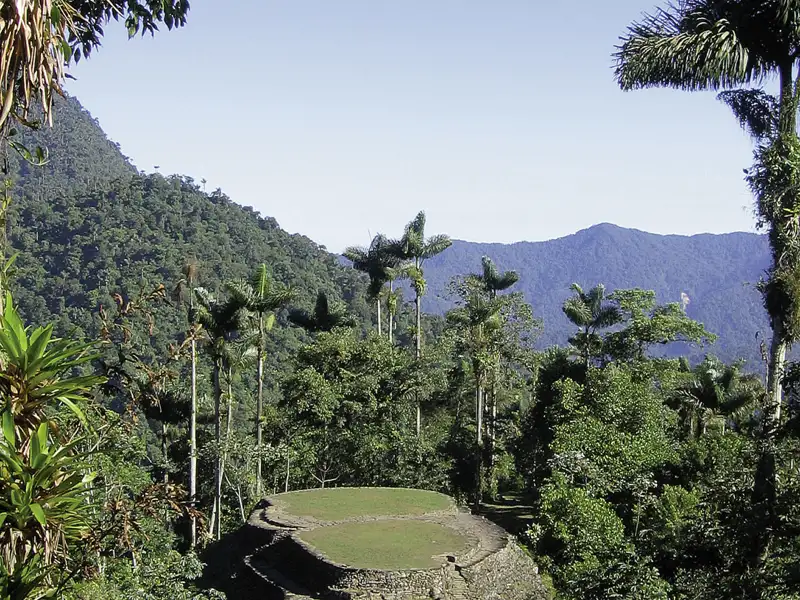 Terrassierte Anlage im tropischen Regenwald, umgeben von Palmen und bewaldeten Bergen.