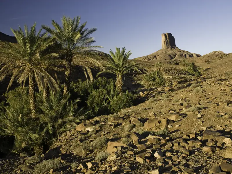 Szene einer Wüstenoase mit Palmen und einer Felsformation.