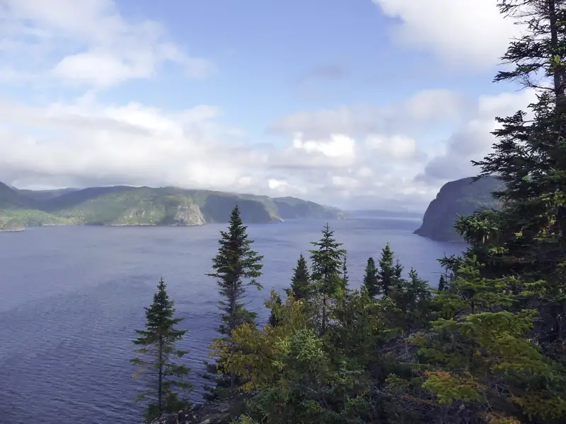 Panoramablick auf einen Fjord, umgeben von bewaldeten Hügeln und felsigen Klippen.
