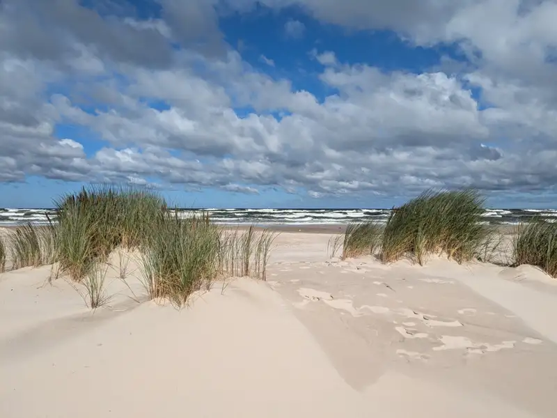Dünengras und Sandstrand am Meer.