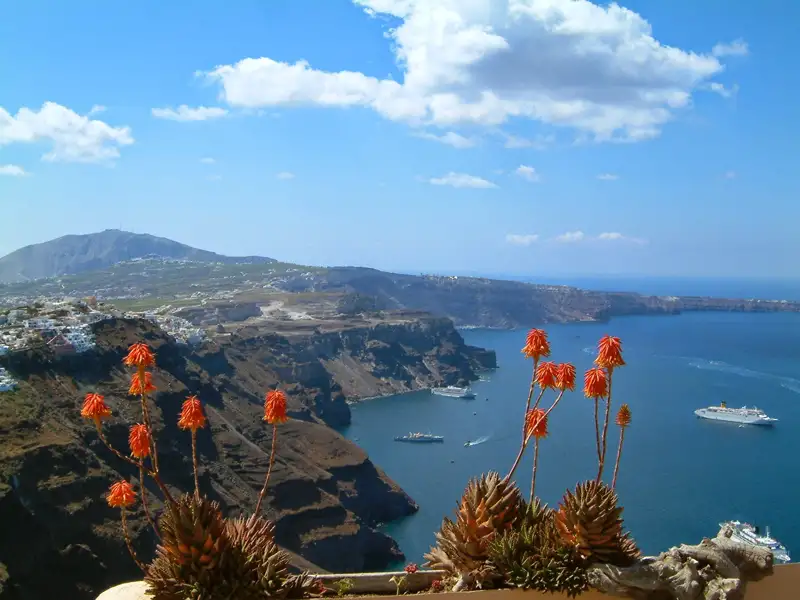 Santorini Caldera mit Aloen und Kreuzfahrtschiffen