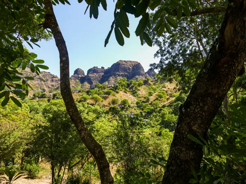 Blick auf bewaldete Hügel und Felsformationen durch Bäume.