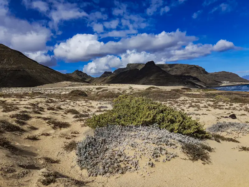 Dünenlandschaft mit spärlicher Vegetation und Bergen im Hintergrund