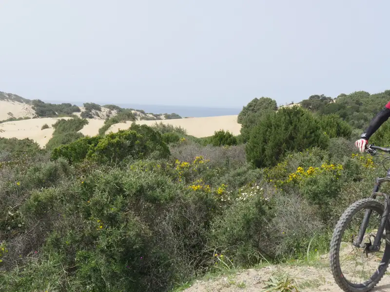 Mountainbiker in einer Dünenlandschaft.