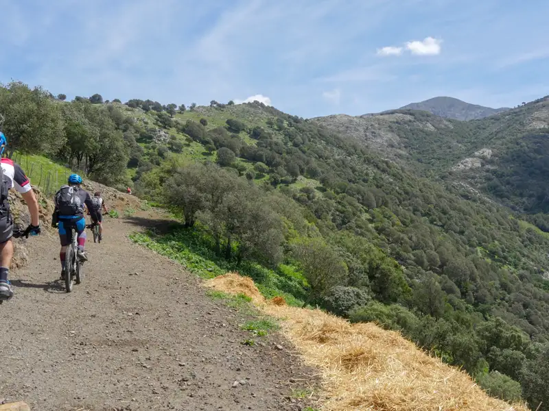 Mountainbiker auf einem Bergpfad.