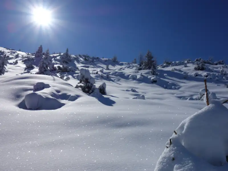 Schneebedeckte Landschaft unter blauem Himmel und Sonnenschein.