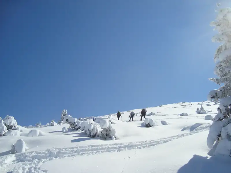 Drei Wanderer besteigen einen schneebedeckten Hang.