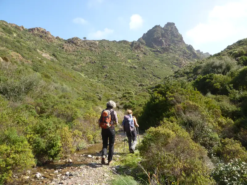 Wanderer auf einem Bergpfad mit Vegetation und einem felsigen Gipfel im Hintergrund.