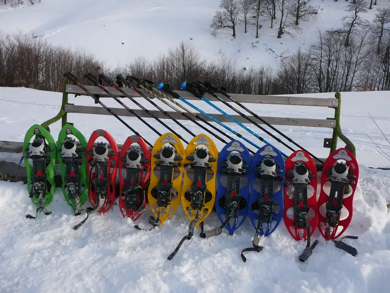 Schneeschuhe und Stöcke für eine Schneeschuhwanderung im Schnee.